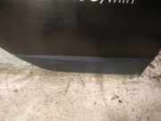 Zierleiste Tür Zier-Schutzleiste - Hinten Rechts Renault Scenic, III 2009.02 - 2013.06 Gebraucht,