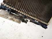 Wasserkühler Renault Laguna, I 1994.01 - 2001.03 Gebraucht,