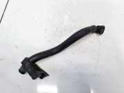 Entlüftungsschlauch Kraftstoffbehälter Renault Scenic, II 2003.06 - 2006.06 Gebraucht,