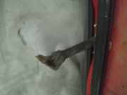 Türfangband Türbremse Türstopper - Vorne Linke Toyota Land Cruiser J9 1996 - 2003 Gebraucht,