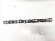 Nockenwelle Rover 25, 1999.09 - 2001.06 lgc105230,