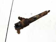 Einspritzdüse Opel Corsa, D 2006.07 - 2010.06 0445110183,