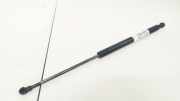 Gasdruckfeder Kofferraum Toyota Avensis, II 2003.04 - 2006.03 6896005072,