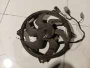 Kühlerlüfter Lüftermotor Peugeot 407, 2004.05 - 2010.12 Gebraucht,