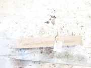 Halteband Kraftstoffbeh?lter Chrysler Voyager, IV 2000.02 - 2008.12 Gebraucht,