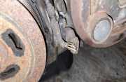 Impulsgeber Kurbelwelle Mazda 3, BK 2003.10 - 2009.06 Gebraucht,