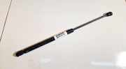 Gasdruckfeder Kofferraum Fiat Bravo, 1995.10 - 2001.10 5192dm0320n,7774707ume6