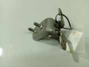 T?rscharnier Vorne Renault Laguna, II 2001.03 - 2006.05 Gebraucht,