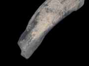 Radhausschale - Vorne Rechts Audi 80, B3 1986.06 - 1991.09 893821172,