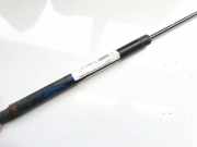 Gasfeder f?r Motorhaube Land-Rover Discovery, 2004.07 - 2009.09 bkk780010,01612113c