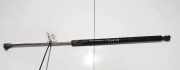 Gasdruckfeder Kofferraum Lancia Phedra 2002 - 2006 1489342080,