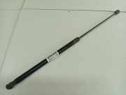 Gasdruckfeder Kofferraum Ford Focus, 2004.11 - 2008.06 4M51n406A10AB,4M51-n406A10-AB