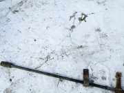 Stabilisator Vorne Peugeot Boxer, 1994.03 - 2002.04 Gebraucht,