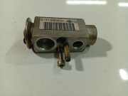 Expansionsventil für Klimaanlage Mercedes-Benz A-CLASS, W169, 2004.09 - 2008.09 1718300184,171 830 01 84