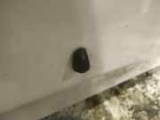 Waschwasserd?se Scheibenreinigung Toyota Corolla Verso, III facelift 2007 - 2009 Gebraucht,