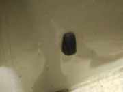 Waschwasserdüse Scheibenreinigung Toyota Avensis, II 2003.04 - 2006.03 Gebraucht,