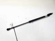 Gasdruckfeder Kofferraum Toyota Avensis, II 2003.04 - 2006.03 1293401,