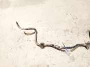 Stabilisator Vorne Toyota Corolla, 2004.02 - 2007.02 facelift Gebraucht,