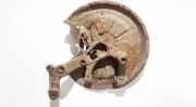 Achsschenkel Radnabe - Hinten Rechts Audi A3, 8P 2003.05 - 2005.06 1k0436l,