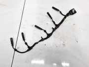 Zündkabel Volkswagen Transporter, T5 2003.04 - 2009.11 Gebraucht,