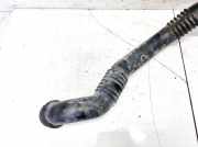 Intercooler Schlauch Mercedes-Benz A-CLASS, W169, 2008.09 - 2012.06 facelift a1695200401,