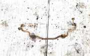 Stabilisator Stabi Hinten Hinterachse Toyota RAV-4, III 2005.11 - 2012.12 Gebraucht,