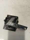 Türinnengriff - Vorne Linke Volkswagen Phaeton, 2002.04 - 2006 300837617D,300 837 617 D 3D0837617D BMK