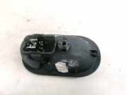 Türinnengriff - Vorne Linke Renault Megane, II 2002.11 - 2006.06 8200028487,5005400006
