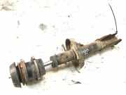 Sto?d?mpfer - Vorne Linke Opel Astra, G 1998.09 - 2004.12 2082608,2082608 3065ig