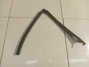 Zierleiste Leiste - Vorne Rechts Renault Scenic, II 2003.06 - 2006.06 MP5542,MP5542 8200239279