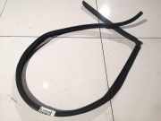 Türdichtung - Vorne Linke Mitsubishi Galant, 1996.09 - 2004.10 Gebraucht,