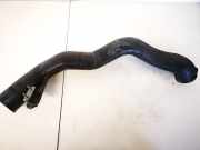 Intercooler Schlauch Renault Espace, III 1996.11 - 2002.10 7700101057,