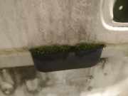 Kennzeichenleuchte Fiat Fiorino, 2008.02 --> Gebraucht,