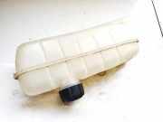 Ausgleichsbehälter Renault Zoe I 2012 - 2020.06 Gebraucht,