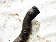 Kühlerschlauch Skoda Superb, I 2001.12 - 2008.03 Gebraucht ,