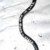 Stabilisator Vorne Toyota Avensis Verso, 2001.08 - 2009.11 Gebraucht,