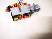 Sicherungskasten Renault Scenic, II 2003.06 - 2006.06 13251ghw,