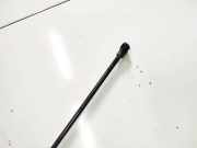 Gasfeder für Motorhaube Audi A3, 8P 2003.05 - 2005.06 Gebraucht ,