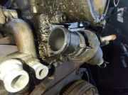 Thermostat Alfa-Romeo 166 1998.09 - 2003.10 v243788,