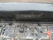 Kennzeichenleuchte Volkswagen Golf, VI 2008.10 - 2012.06 Gebraucht, CAYC