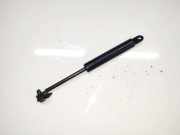 Gasfeder für Motorhaube Renault Scenic, II 2003.06 - 2006.06 Gebraucht ,