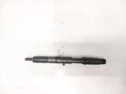 Einspritzdüse Audi A6, C5 1997.01 - 2001.08 059130201F, 043213795