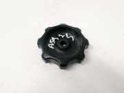 Innenausstattung - Vorne Linke Audi A6, C4 1994.06 - 1997.10 893881671a,