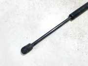 Gasdruckfeder Kofferraum Renault Megane, II 2002.11 - 2006.06 8200119497,
