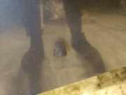 Waschwasserdüse Scheibenreinigung Volvo S60, 2000.01 - 2005.01 Gebraucht,