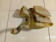 Scheibenwaschbehälter Vorne Wischwasserbehälter Ford Galaxy, Mk III 2006.04 - 2010.06 6G9112A659AB, 6G91-12A659-AB