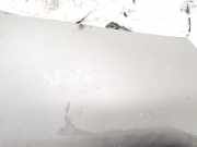 Innenausstattung Renault Scenic, II 2006.06 - 2009.02 facelift 8200140871, 8200140872