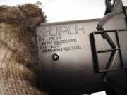 Lüftungsgitter Armaturenbrett Nissan X-Trail, 2001.06 - 2007.06 68761eq000, e650-5161-100