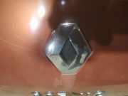 Emblem Renault Scenic, II 2003.06 - 2006.06 Gebraucht,