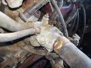 Thermostat Honda Accord, 1993.10 - 1997.12 Gebraucht,